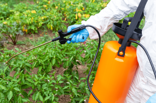 Formation CERTIPHYTO Décideurs