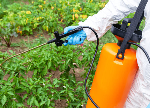 Formation CERTIPHYTO Décideurs